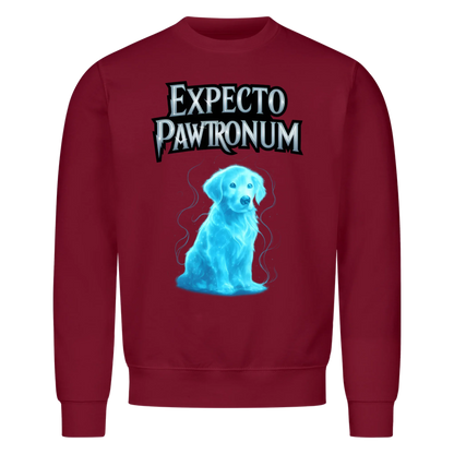 Expecto Pawtronum - collection
