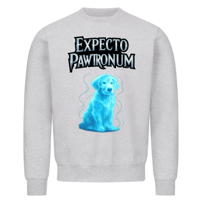Expecto Pawtronum - collection