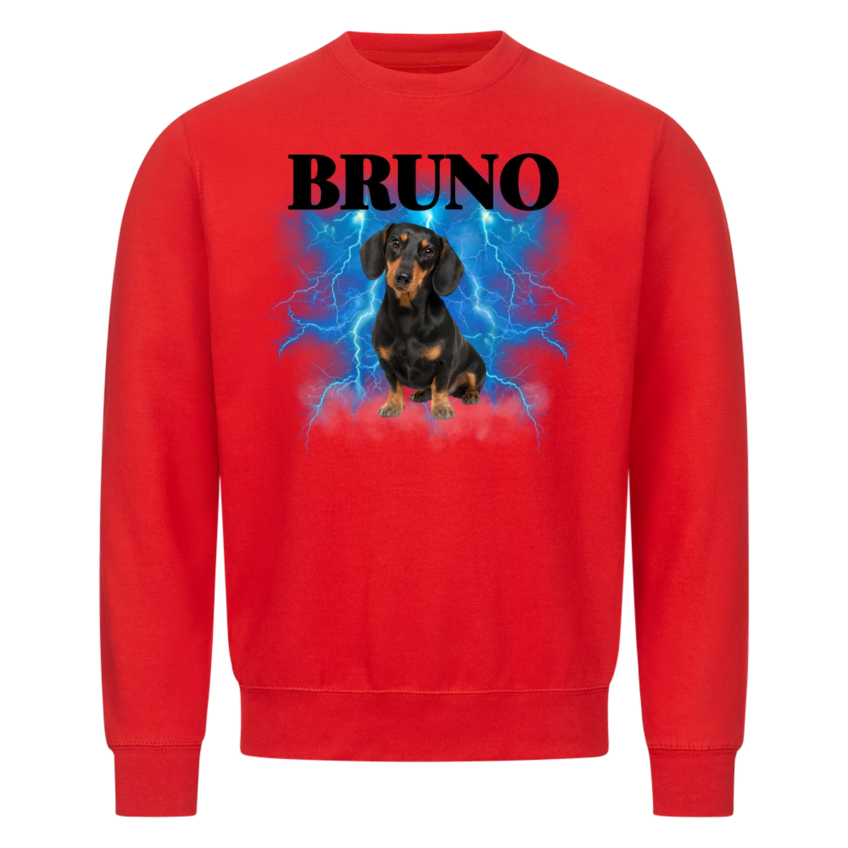 Personalized Pet T-Shirt "Vintage" '90s Style - collection