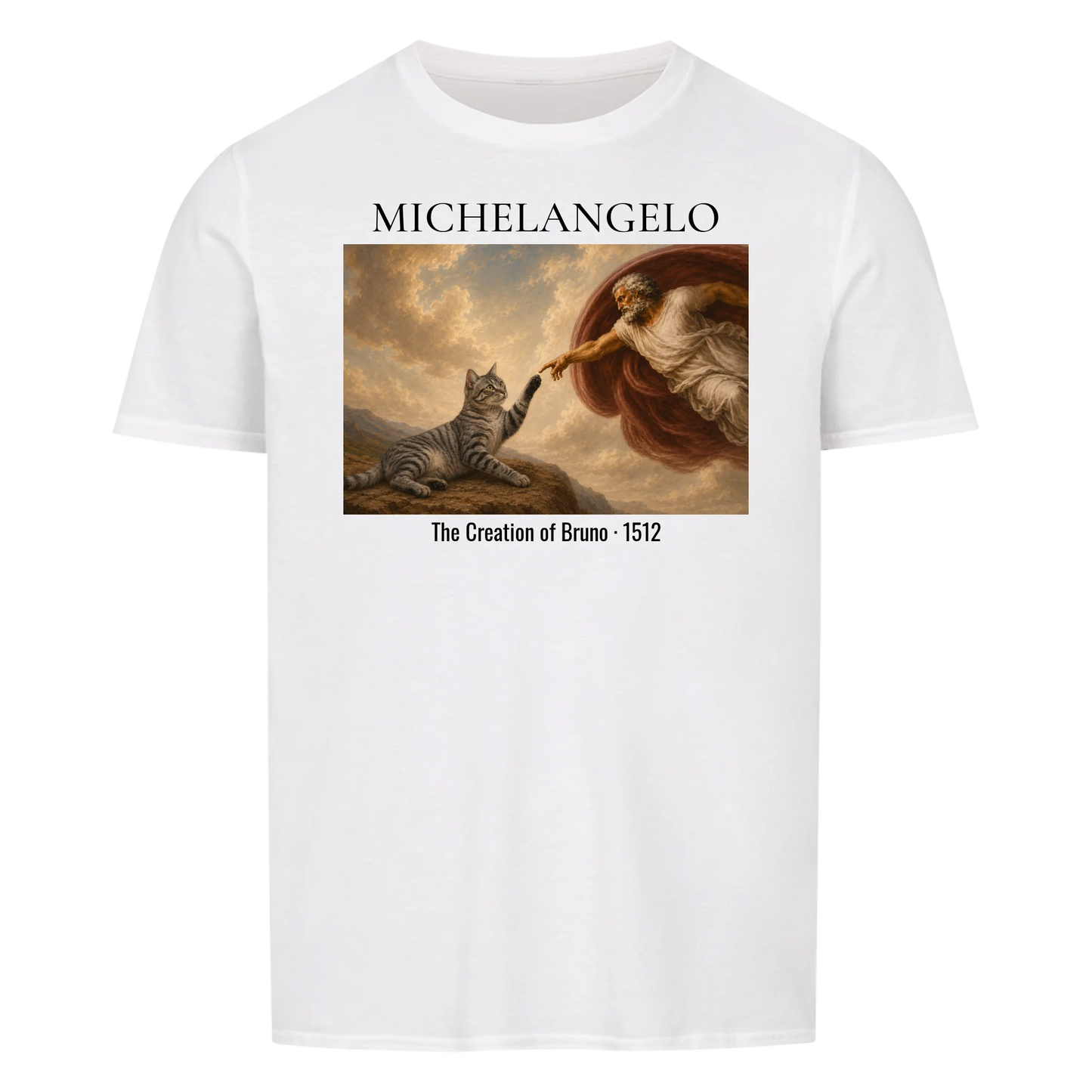 Michelangelo The Creation - collection