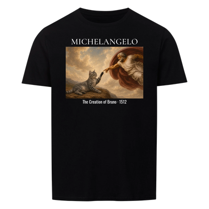 Michelangelo The Creation - collection