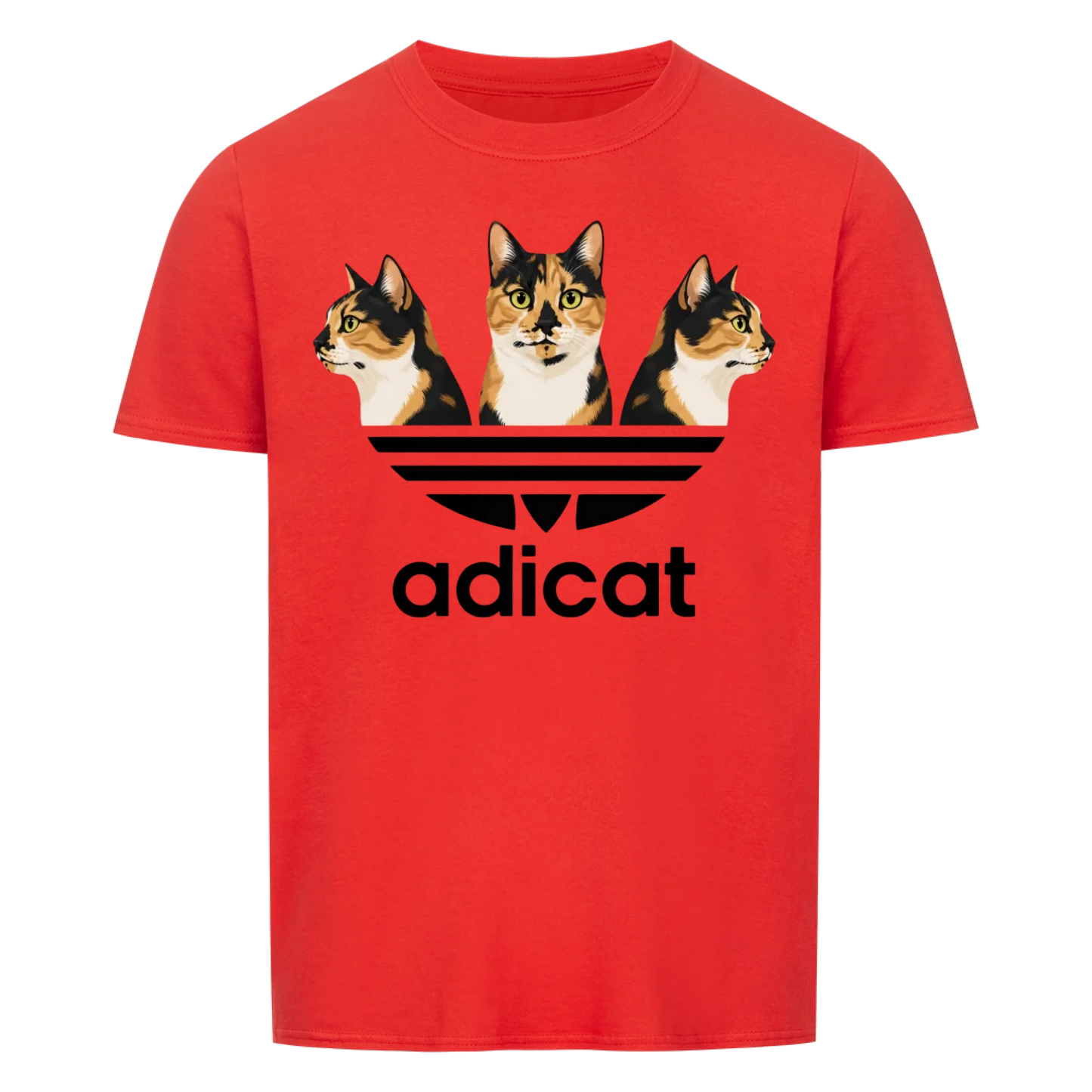 Adicat - collection