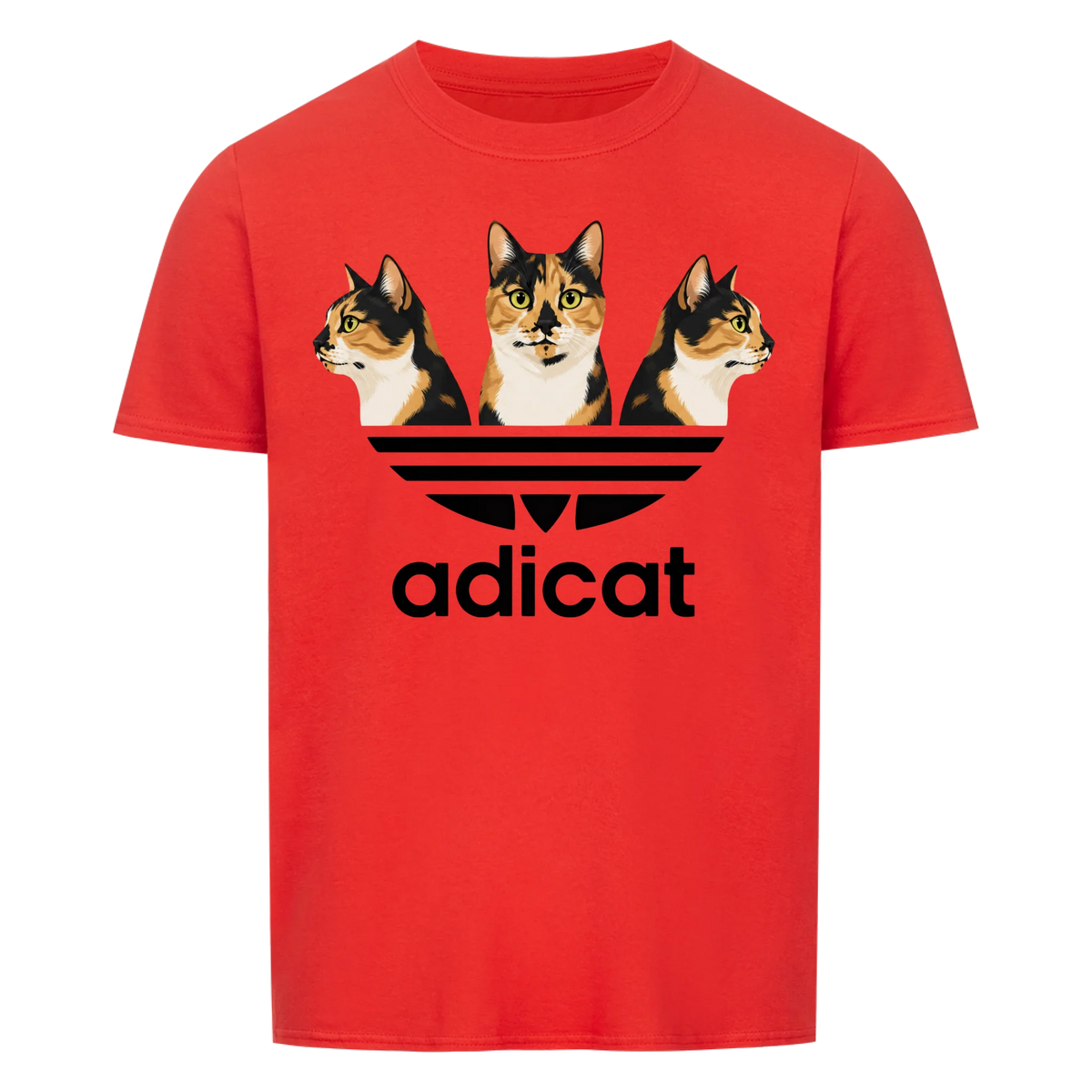 Adicat - collection
