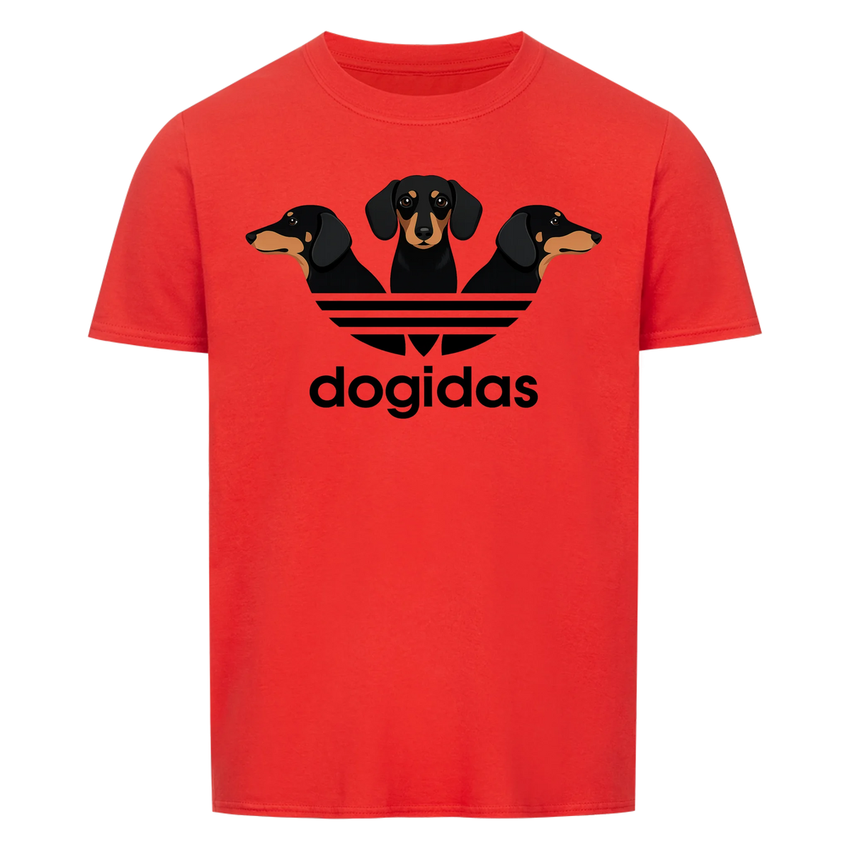 Dogidas collection